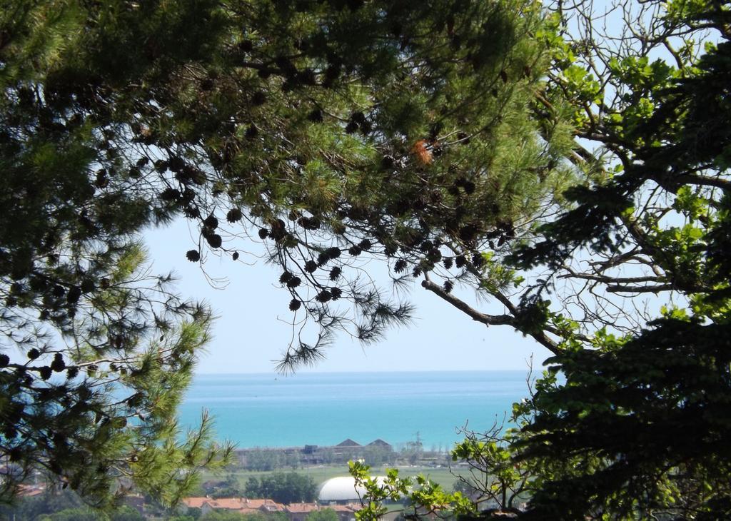Tenuta Villa Colle Sereno Montemarciano Eksteriør billede